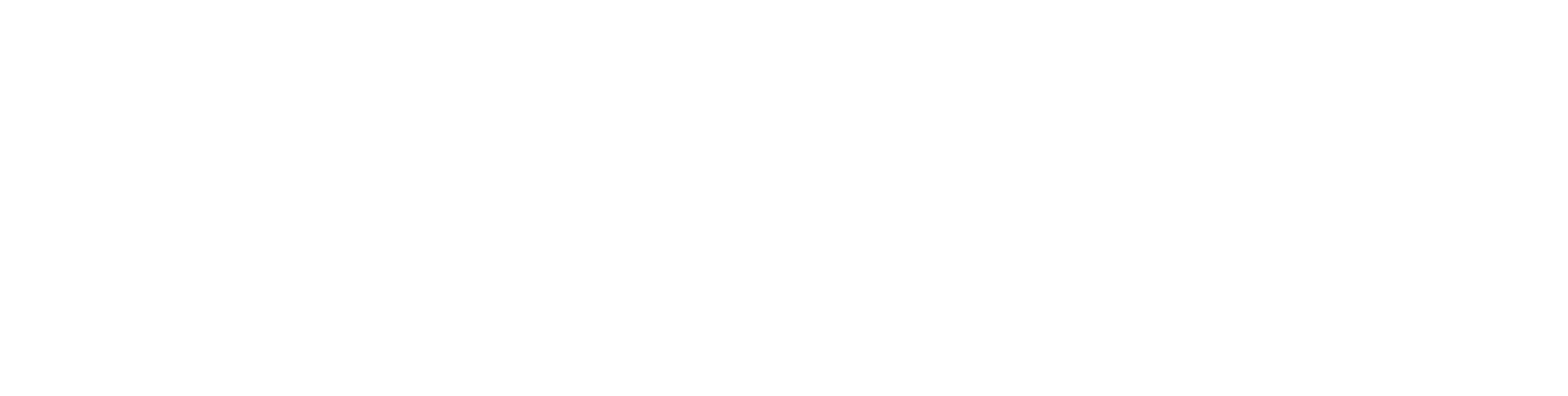 Automotive Performance Group